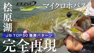 【桧原湖/バス釣り】2023年JB TOP50桧原湖戦 優勝パターンを完全再現 / 藤田夏輝