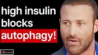  You DON'T NEED To Fast For AUTOPHAGY!