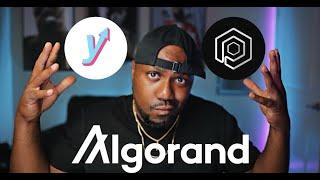 Algorand News | How to Buy And Stake Yieldy | Mexc Exchange Walkthrough | The Crypto Hour