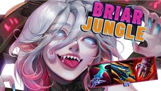 How To Play Briar Jungle Like A Challenger After NERFS! Indepth Guide Learn