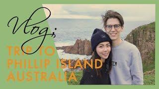 [호주살이 VLOG] TRIP TO PHILLIP ISLAND | 국제커플 일상 여행 브이로그 | 칼의 생일선물