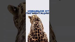 Пятна и пигментация - в прошлом! Избавься от них с бьюти-боксом от Uton. #uton  #пигментация