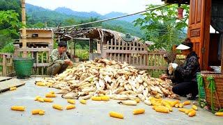 Journey to harvest corn to help KONG & NHAT's brother's family.  Family Diary