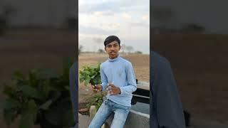 Rajsthan Trip Guide #reels#travelblog #guide#facts#travelvideo#travelvlog #shorts#viralshort#travel