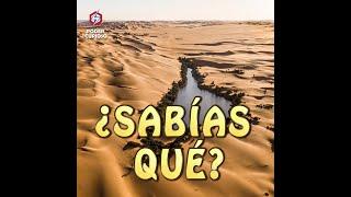 Así se mira un oasis en medio del desierto 