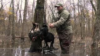 Arkansas Timber Hunt - The Fowl Life Season 7 e9 Trailer