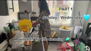 *NEW* What cleaning can I get done in a week 🩵