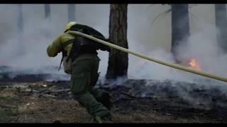 Wildland Firefighter Motivation