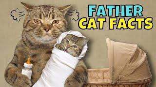 10 Shocking Facts About Father Cats (#1 is Crazy)