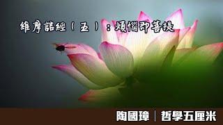 344維摩詰經（五）：煩惱即菩提〈陶國璋：哲學五厘米〉2020-09-01