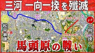 【徳川家康の合戦】三河一向一揆 最大の激戦 馬頭原の戦いのエグすぎたその実態【道と地形図で合戦解説】