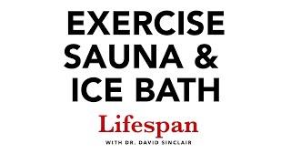 Exercise, Heat, Cold & Other Stressors for Longevity | Lifespan with Dr. David Sinclair #3