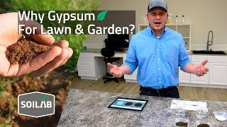 What is Gypsum and How Does It Help My Lawn and Garden?