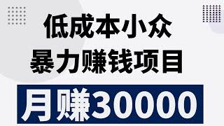 新手网赚，分享网上赚钱项目！分享一个成本低，月赚3万的暴力小众赚钱项目！