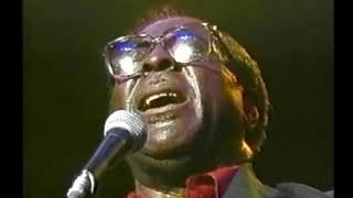 Albert King - Japan Blues Carnival 1989