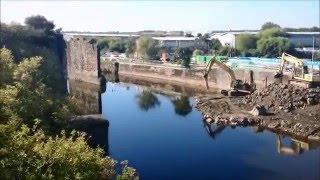 Moving trees from one side of a river to the other