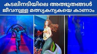 Beautiful Russian Mermaids In Kerala | Sea World Expo 2024 | Thiruvalla