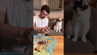 Развлечение для гостей #shorts