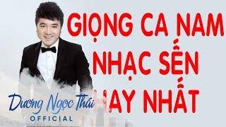 Dương Ngọc Thái | Tuyển Tập Những Ca Khúc Bolero Hay Nhất Của Dương Ngọc Thái