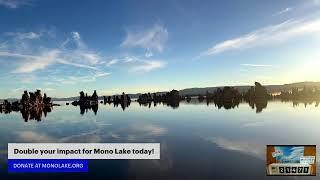 Donate to the Mono Lake Committee for Giving Tuesday