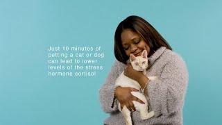 Health Benefits of Pets: Stress Relief