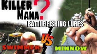 MINNOW VS SWIMMERBAIT KALEN