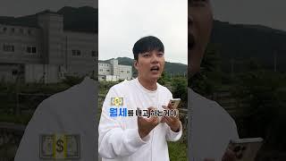 2400604 메인넷 쉽게 설명해드림 #비트코인 #기술적분석