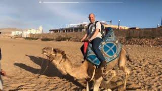 (Pt4)The Dakar challenge, UK to Mali road trip in Morocco Wayne’s childhood dream of riding a camel