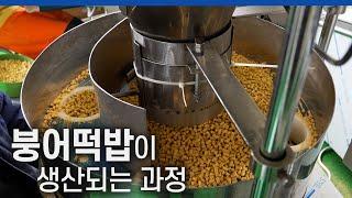 Fish bait carp powder factory Manufacturing process.   Mass Production of  fish bait in Korea