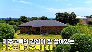 제주도 농가주택, 제주 고택의 감성이 잘 살아있는 돌집농가주택 매매, 제주도주택, 제주도부동산, 제주도타운하우