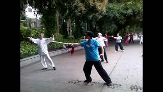 forigner do tai chi in people park Nanning China