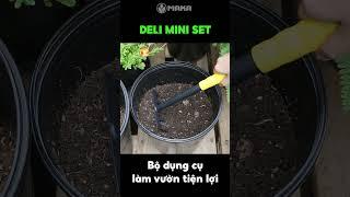 Chăm sóc sân vườn tiện lợi hơn với bộ dụng cụ làm vườn mini Deli