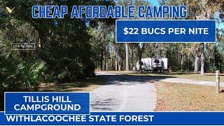 Cheap Affordable Camping Tillis Hill Recreation area Withlacoochee State Forest