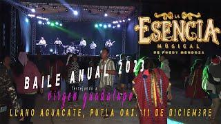 LLANO AGUACATE, PUTLA OAX. BAILE COMPLETO EN HONOR A LA VIRGEN GUADALUPE, 11/DICIEMBRE/2023 PARTE 2.