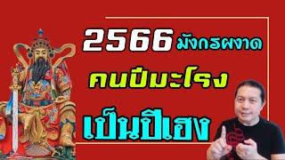 คนปีมะโรง(งูใหญ่) ปี2566 เป็นหนึ่งในสามคนปีเฮง | เฮงเรื่องใด เด่นเรื่องไหน ต้องระวังอะไรเป็นพิเศษ