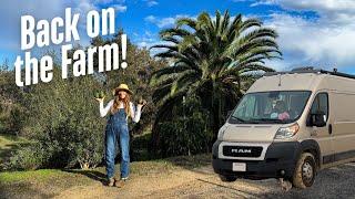 A Day Of Van Life | Real & Raw (life update, starting a family and a farm tour)