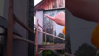 Расписываю стену день 4 #пейзаж #росписьстен #картина