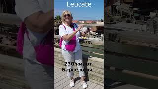 Любите ли вы устрицы также как я #spasibuxina #барселона #гидвбарселоне #устрицы #барселона