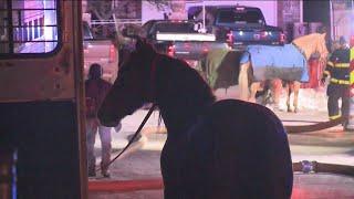 Owner Rushes Into Flaming Barn To Save His Horses