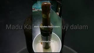 Madu Hitam Kanekes Baduy dalam #covid19 #madu #maduhitam #maduodeng