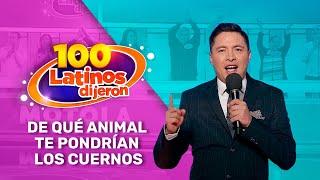 De que Animal te pondrían los Cuernos - Familia Picazo vs Familia Motola - 100 Latinos Dijeron