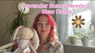  Lavender Bunny! Looking For Her New Home!