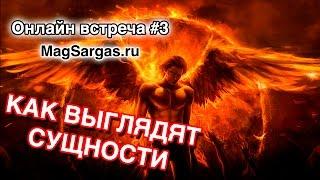 Как Выглядят Сущности - Внешний Вид Сущностей - Маг Sargas