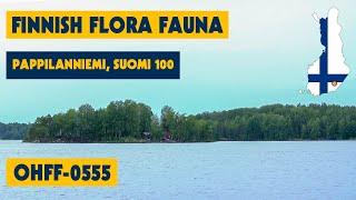 06/07/2023 - Finnish Flora Fauna - OHFF-0555 - Pappilanniemi, Suomi 100