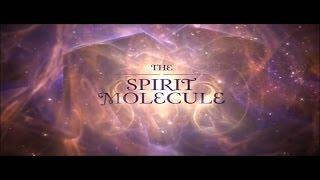 DMT: The Spirit Molecule, Pineal Gland