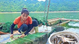 Catching fish, girl builds new life on deserted island