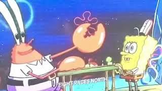 The chill chicken had the influence to be SpongeBob until...