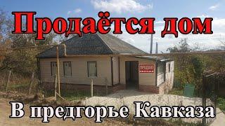 #85 Хутор Даманка/Продаётся дом на 35 сотках земли/Переезд в Краснодарский край/Едим на Юг на Кубань