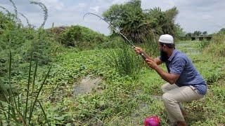 SMALL INSECTS AND Effective SINGLE HOOK FLOAT FISHING TECHNIQUES IN VILLAGES Catfish and Tilapiafish