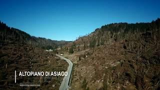 Migliaia di alberi caduti sull'Altopiano di Asiago